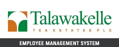 thalawakelle, Tritcal International software solutions, Tritcal, Software Company